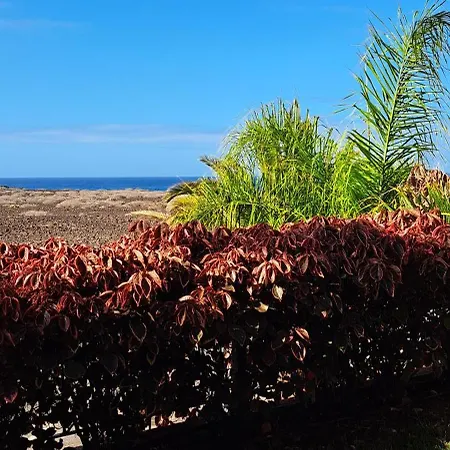 Lejlighed Casa Eleanora