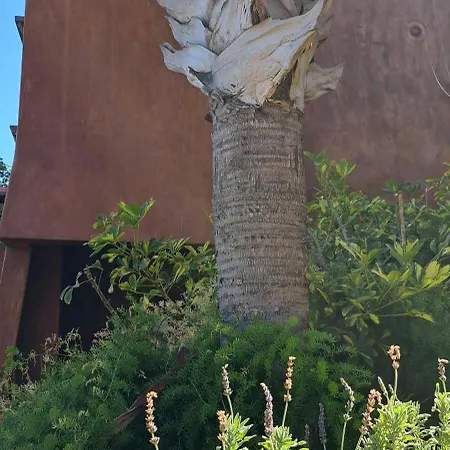 Casa Eleanora Palm-mar