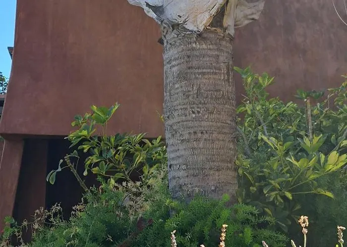 Casa Eleanora Palm-mar