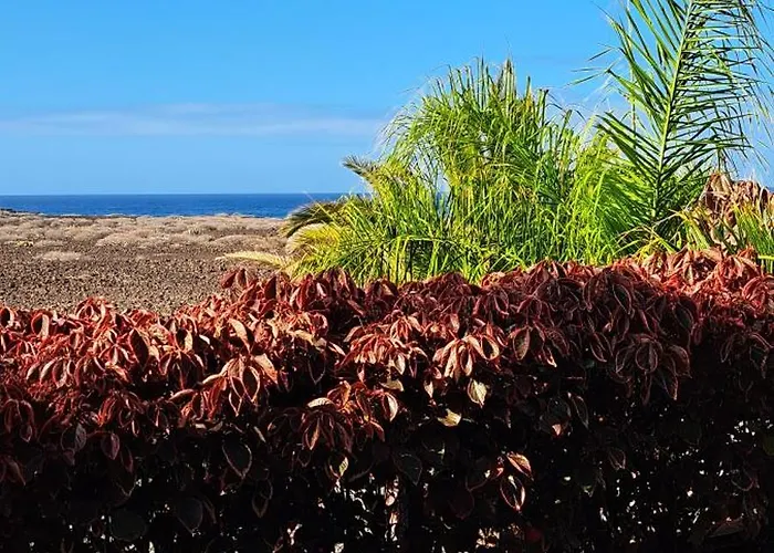 Apartment Casa Eleanora